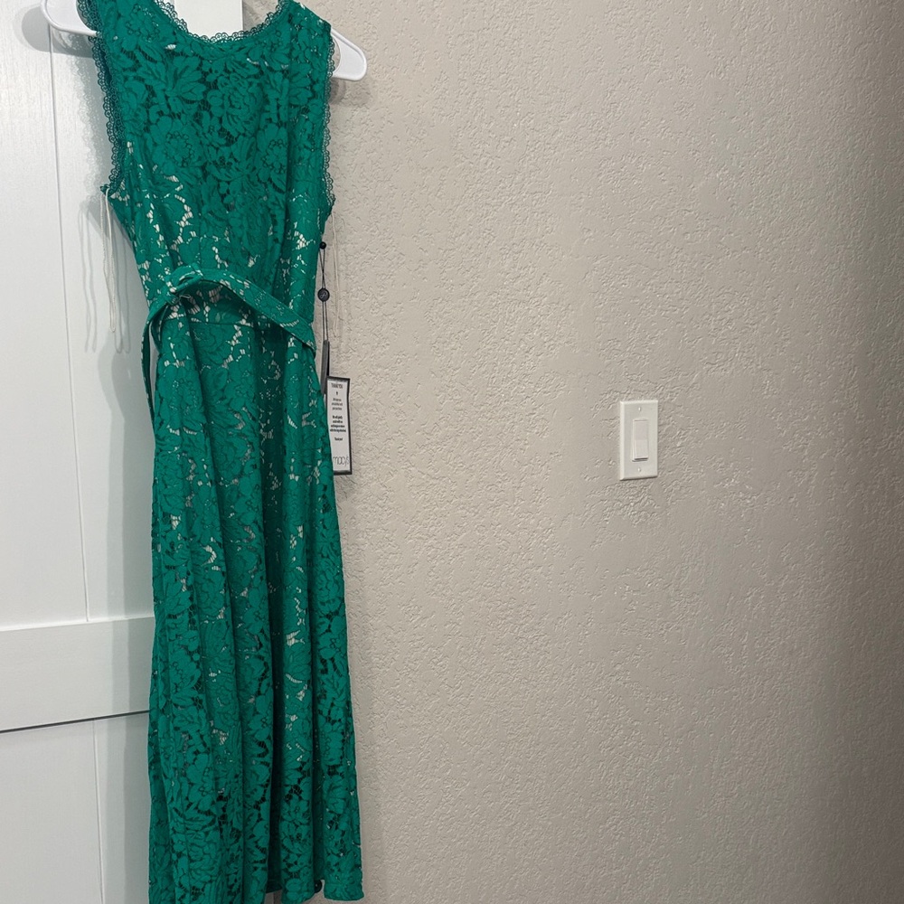 Adrianna Papell Elegant Green Lace Dress